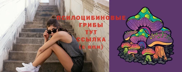 гидропоника Козловка