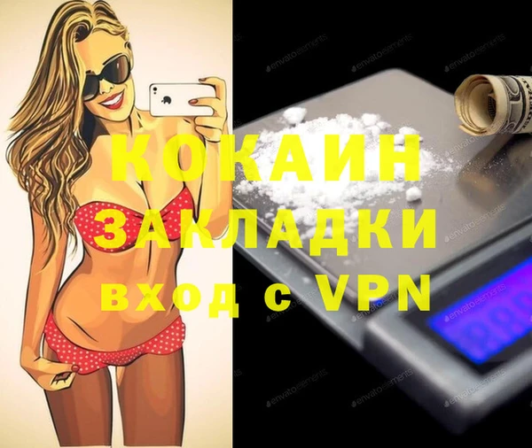 дживик Козельск