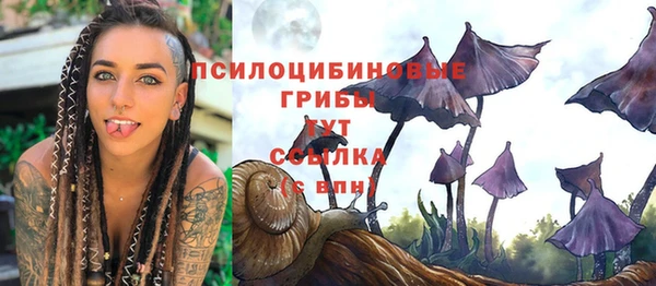 бошки Костерёво