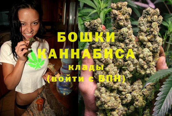 гидропоника Козловка