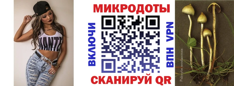 Галлюциногенные грибы GOLDEN TEACHER  Красный Сулин 